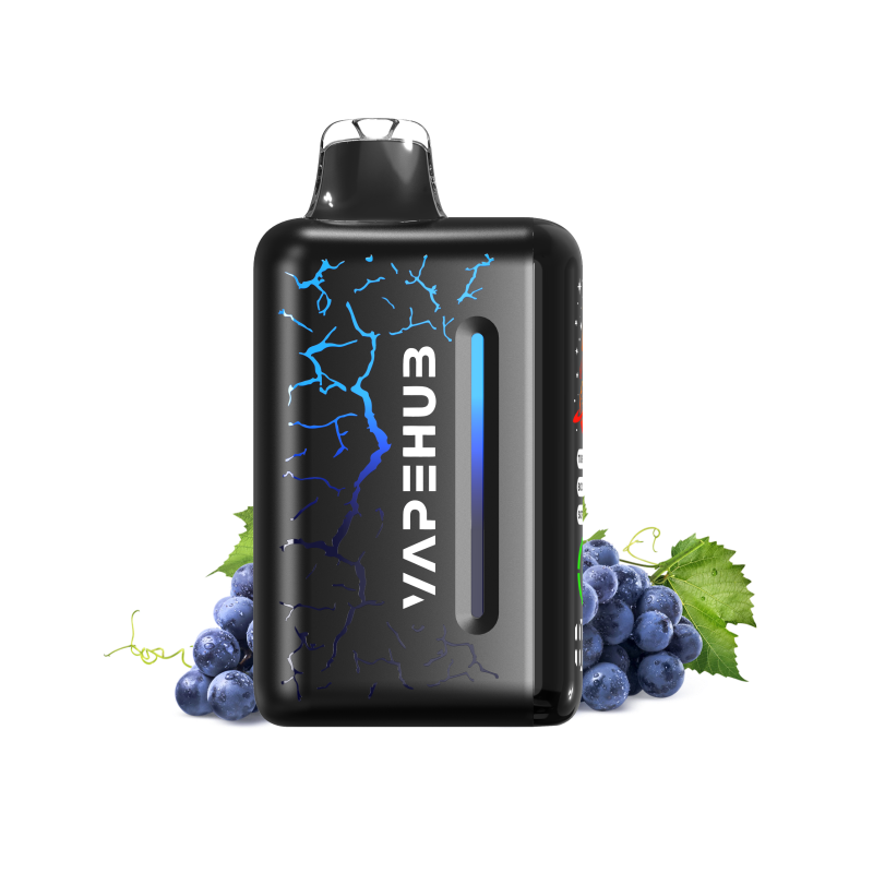 Vapehub Ultra Blueberry Blast Storm 20000 Puffs