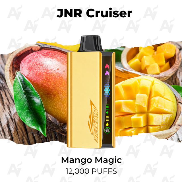JNR Cruiser 12000 Puffs