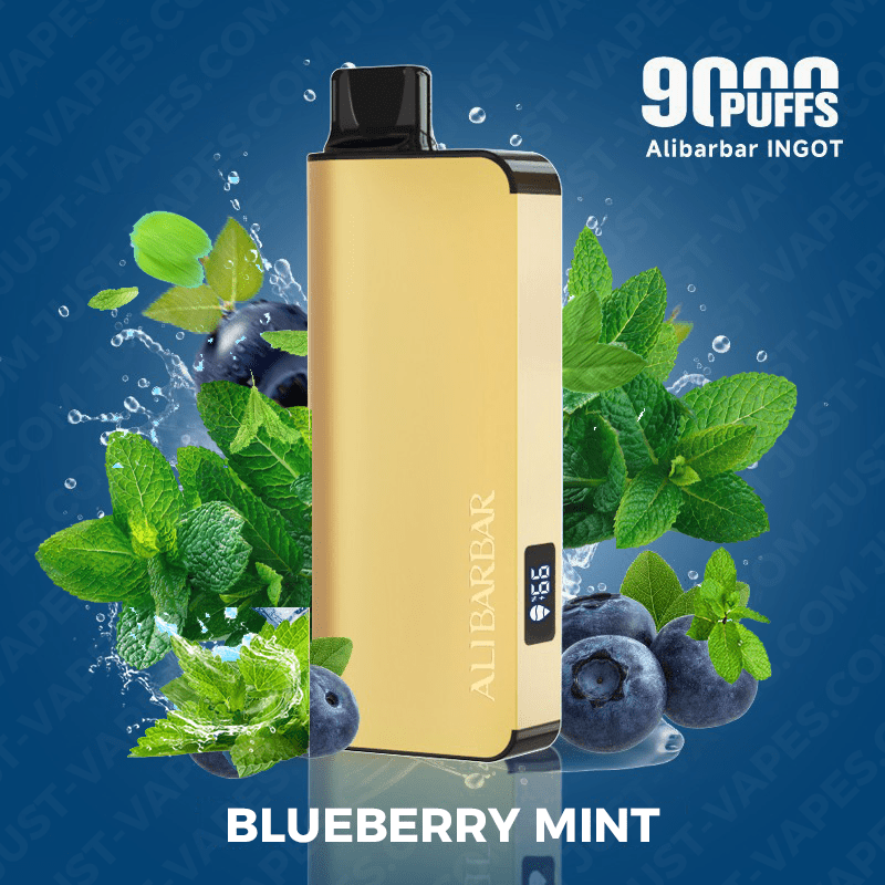 Alibarbar Ingot Blueberry Mint 9000 Puffs