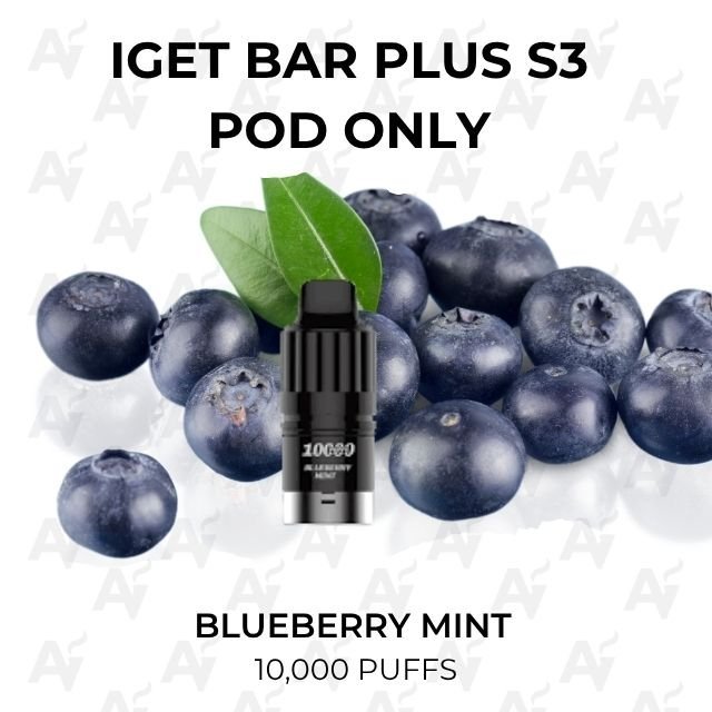 IGET Bar Plus S3 Pods Blueberry Mint 10000 Puffs