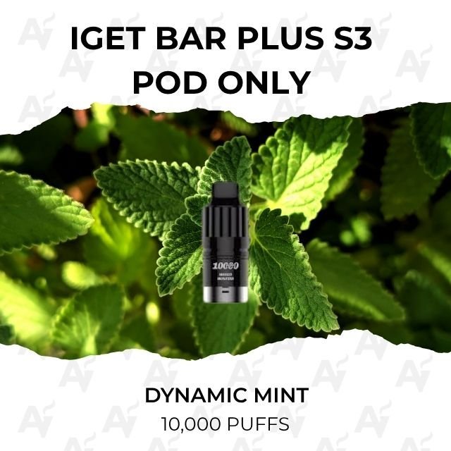 IGET Bar Plus S3 Pods Dynamic Mint 10000 Puffs
