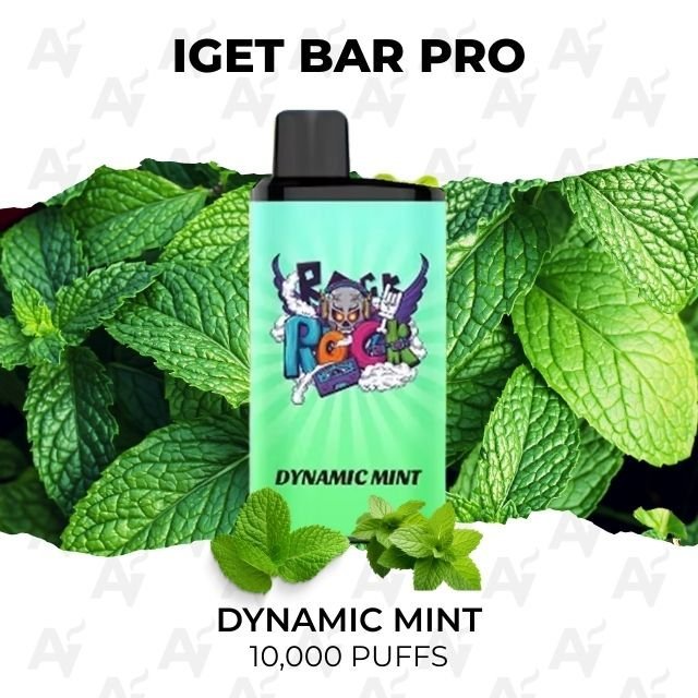 IGET Bar Pro Dynamic Mint 10000 Puffs