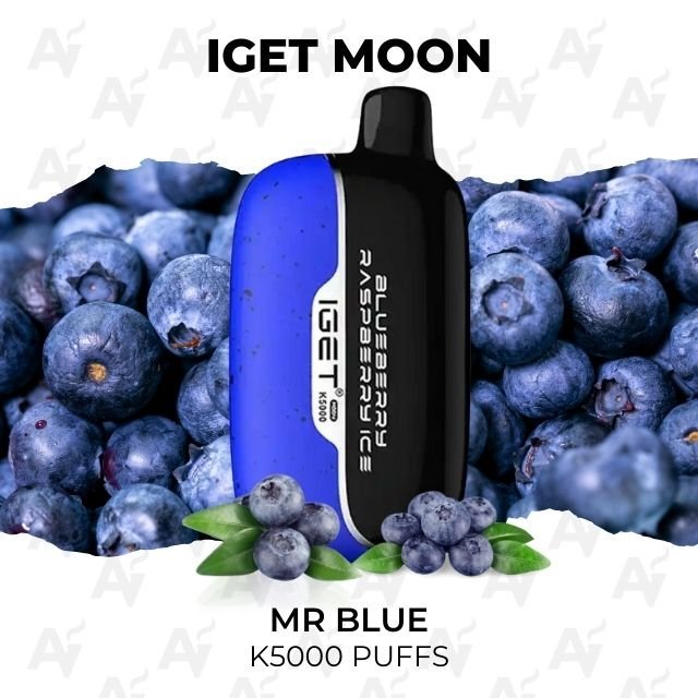 IGET Moon Mr Blue 5000 Puffs