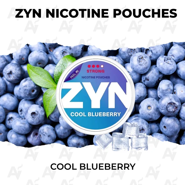 ZYN Cool Blueberry Nicotine Pouches