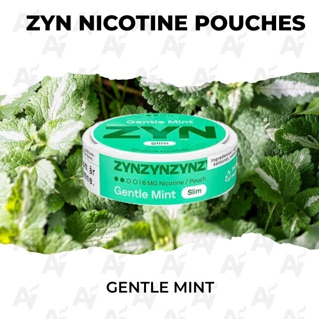 ZYN Gentle Mint Nicotine Pouches